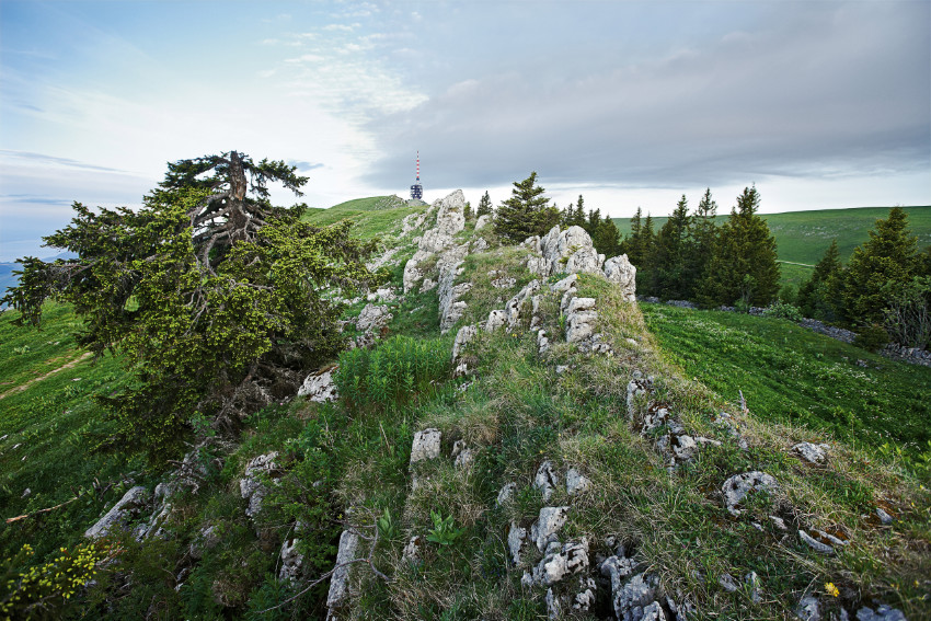 Parc Chasseral